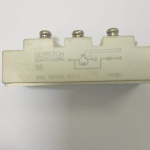 BSM100GAL123D